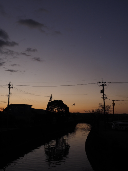 夜明けの川.jpg